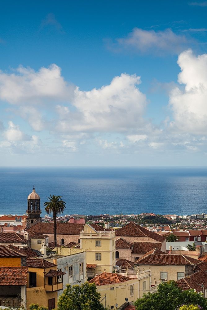 Canary Islands-Tenerife Island-La Orotava-elevated town view